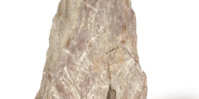 Rosa Olimpo