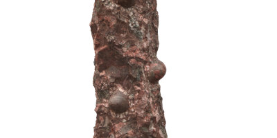 Obelisk Fossil Viola